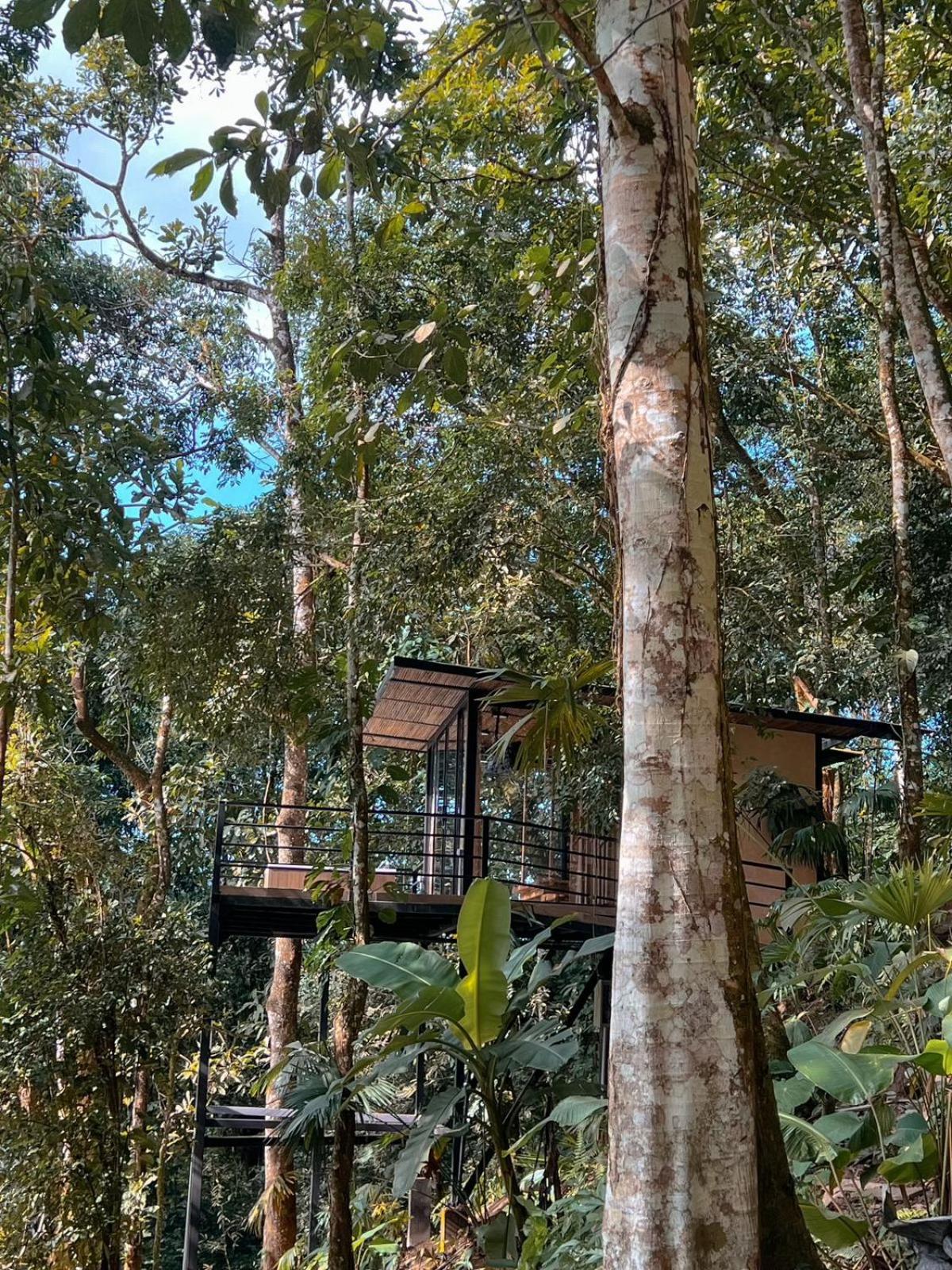 Hotel Rincon De La Sierra Minca Esterno foto