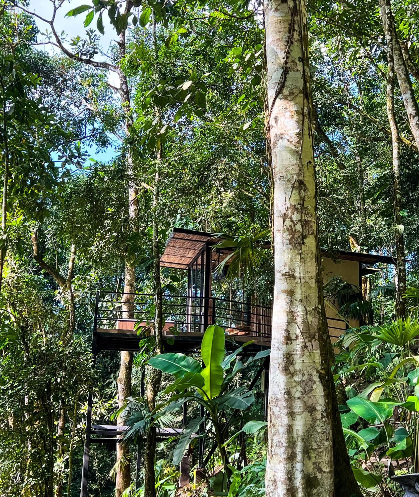 Hotel Rincon De La Sierra Minca Esterno foto